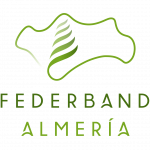 logo almeria