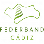 Encuentro Bandas III Congreso Andaluz Música Semana Santa